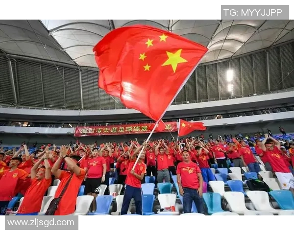 杭州羽毛球队意识争议引发热议球员表现与团队精神的深度探讨