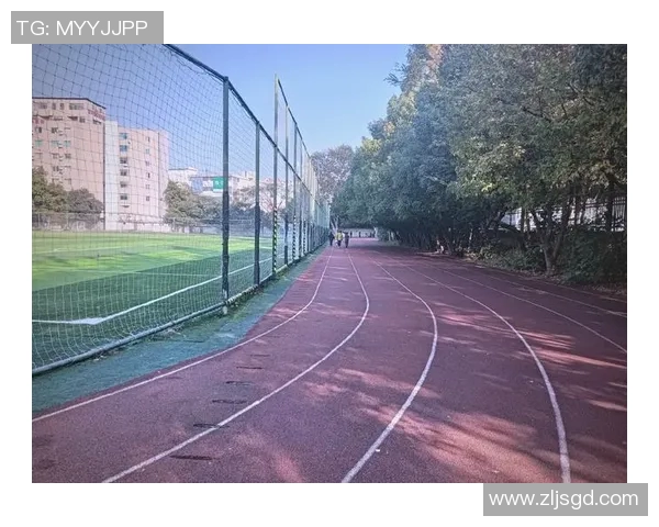 杭州羽毛球队的崛起之路：从青涩梦想到奥运舞台的辉煌历程